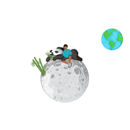 Sleepy Panda Media